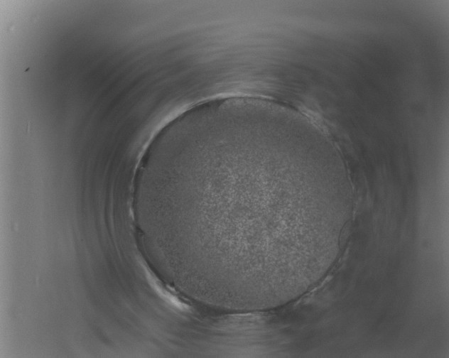 X0000061140050200511241815