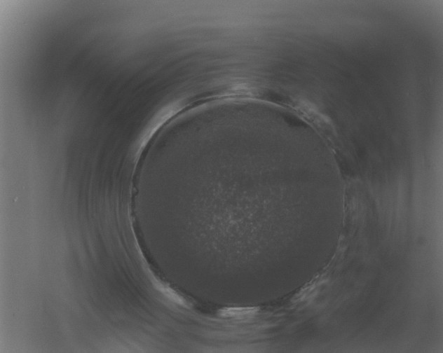 X0000061140051200511241815