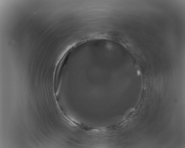 X0000061140052200511241815