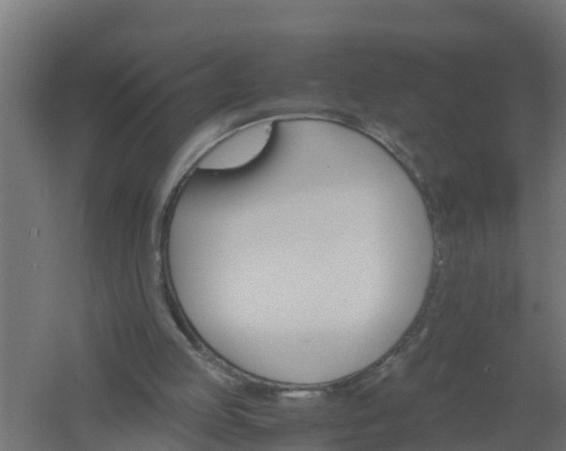 X0000061140053200511241815