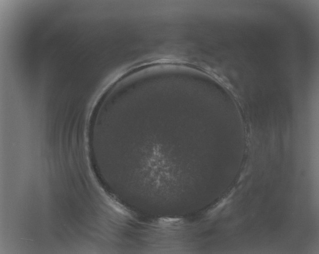 X0000061140055200511241815