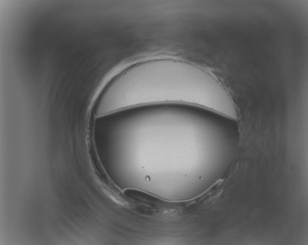 X0000061140056200511241815