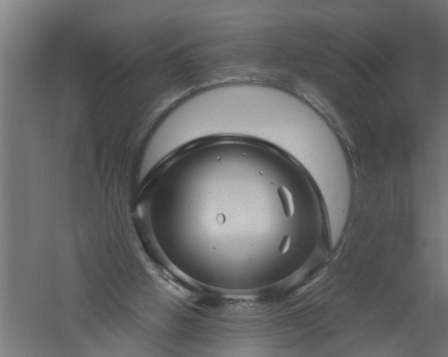 X0000061140058200511241815