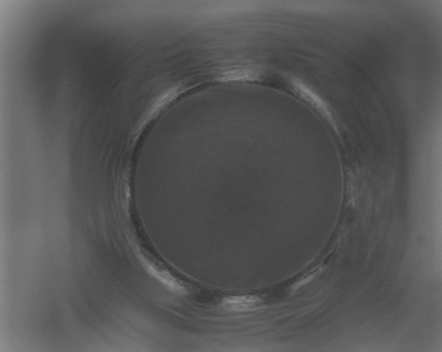 X0000061140059200511241815