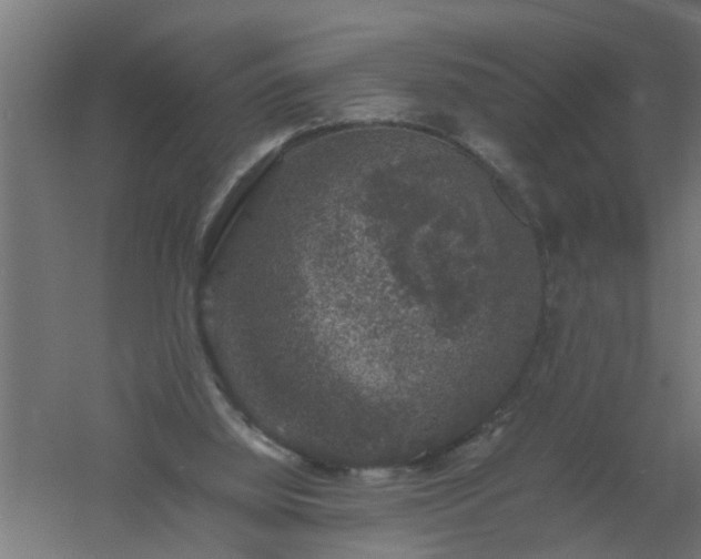 X0000061140060200511241815