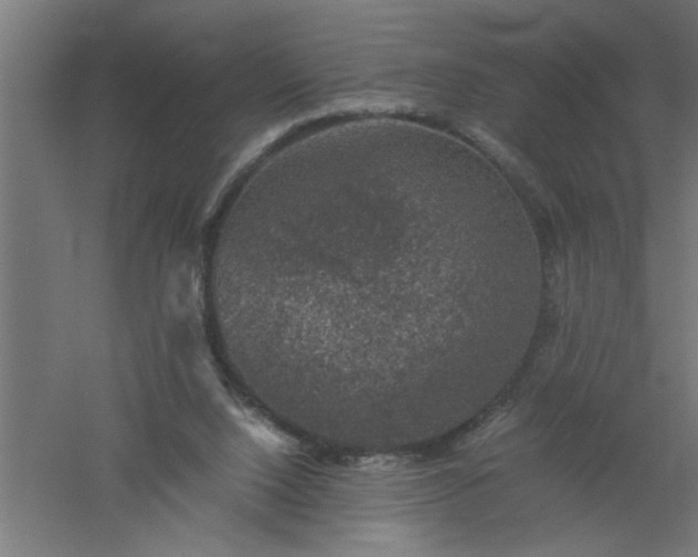 X0000061140064200511241815