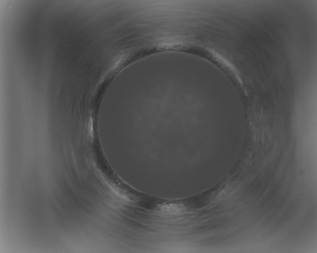 X0000061140067200511241815