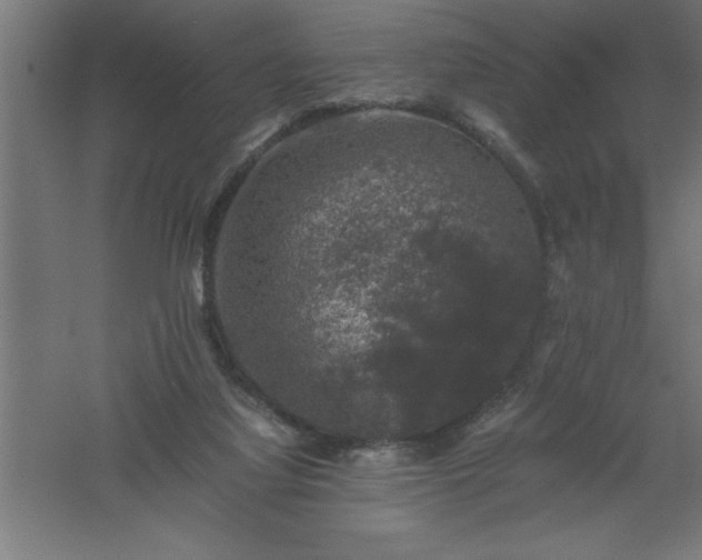 X0000061140068200511241815