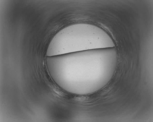 X0000061140069200511241815