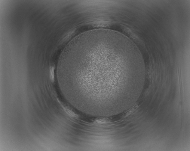 X0000061140070200511241815