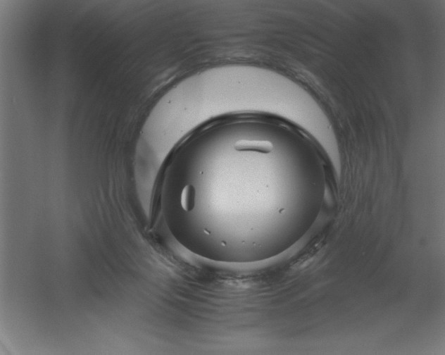 X0000061140071200511241815