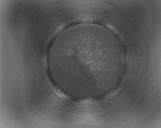 X0000061140072200511241815