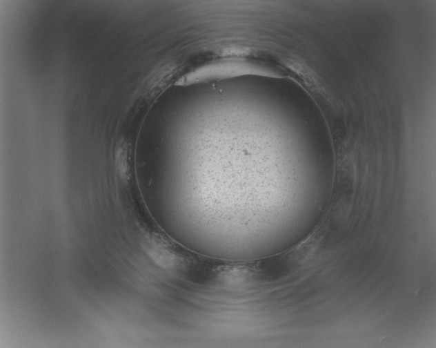 X0000061140074200511241815