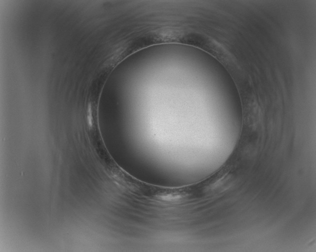 X0000061140075200511241815