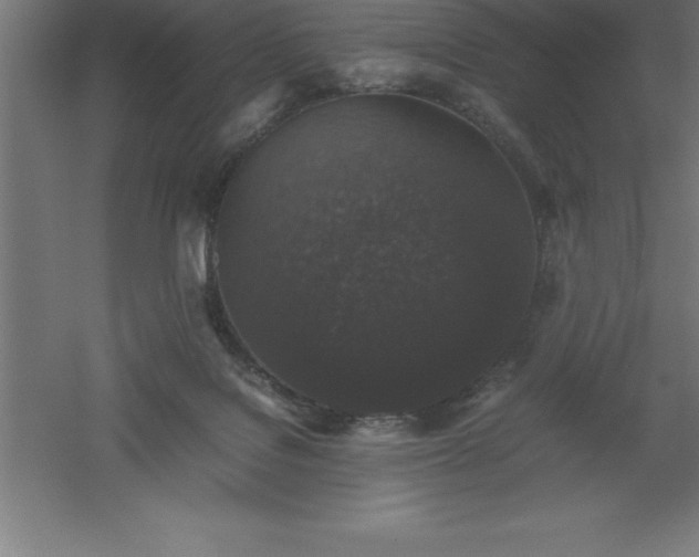 X0000061140076200511241815