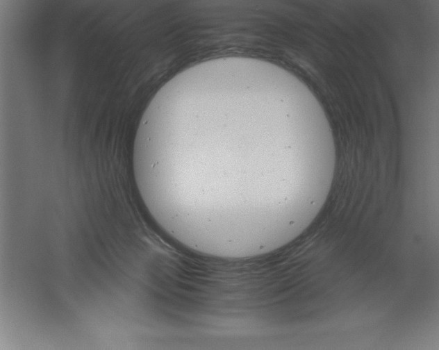 X0000061140077200511241815