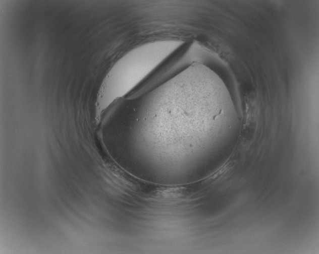 X0000061140078200511241815