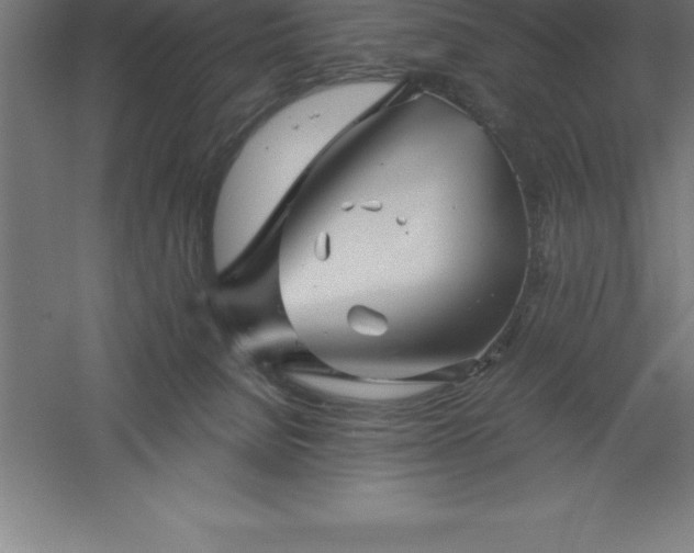 X0000061140080200511241815