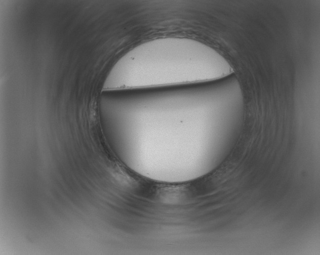 X0000061140081200511241815