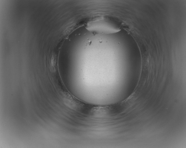 X0000061140082200511241815