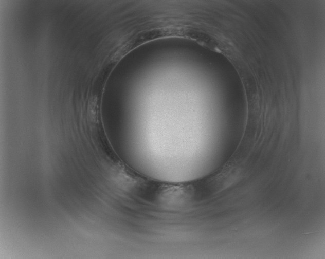 X0000061140083200511241815