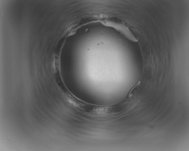 X0000061140084200511241815