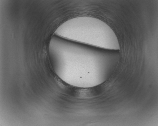 X0000061140085200511241815