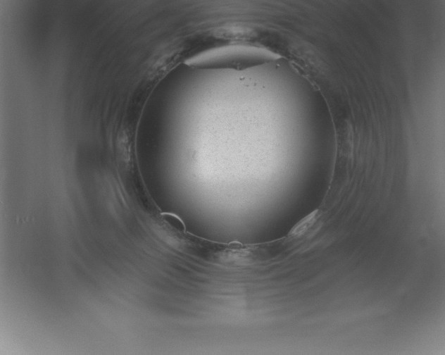 X0000061140086200511241815