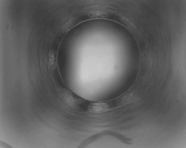 X0000061140087200511241815