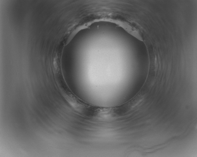 X0000061140088200511241815