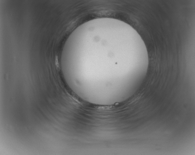 X0000061140089200511241815