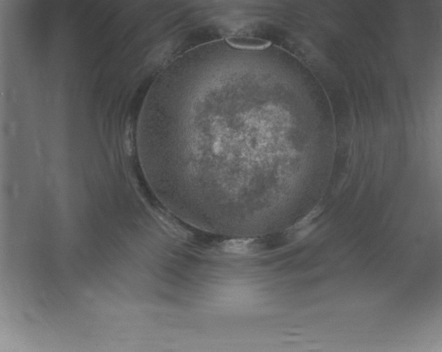 X0000061140090200511241815