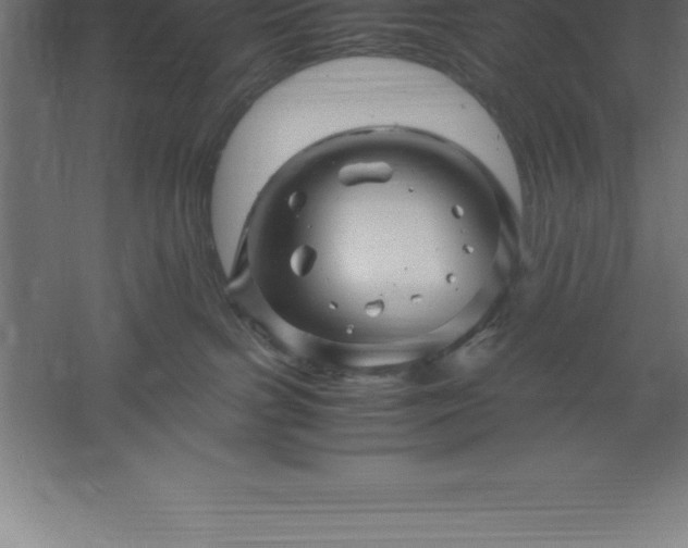 X0000061140091200511241815