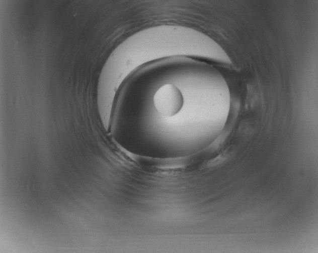 X0000061140092200511241815