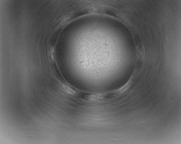 X0000061140094200511241816