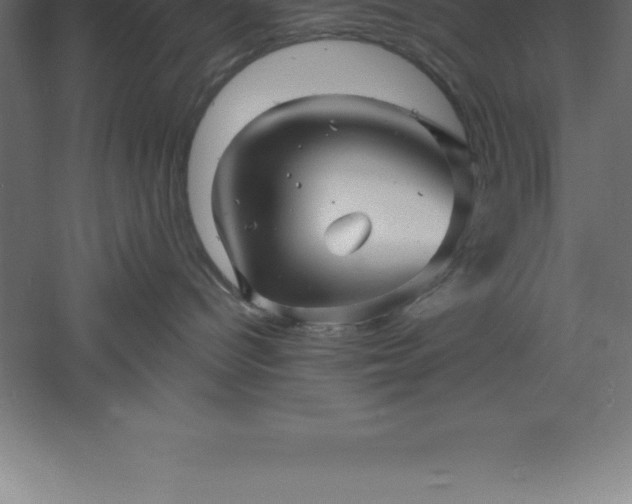 X0000061140096200511241816