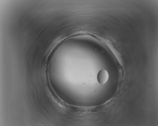 X0000061140098200511241815