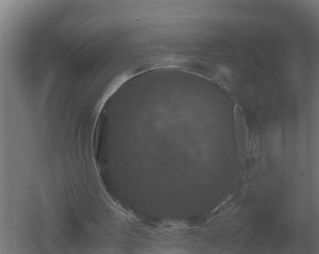 X0000061140099200511241815