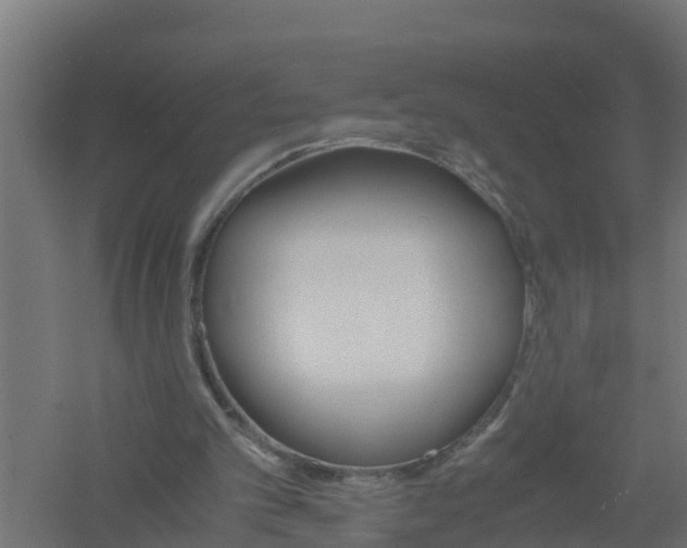 X0000061140101200511241815