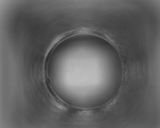 X0000061140102200511241815