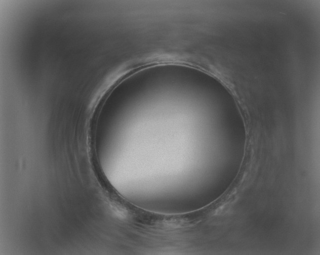 X0000061140103200511241815