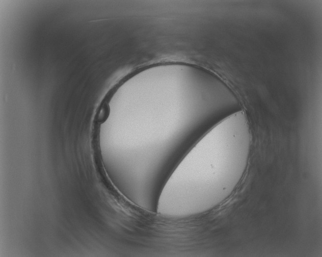 X0000061140104200511241815