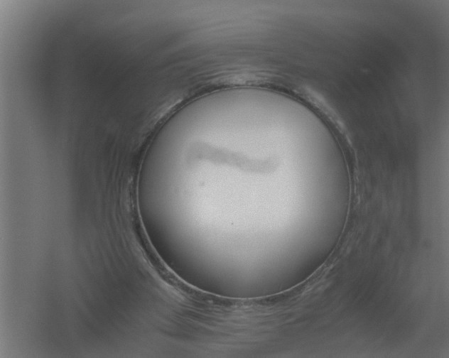 X0000061140105200511241815