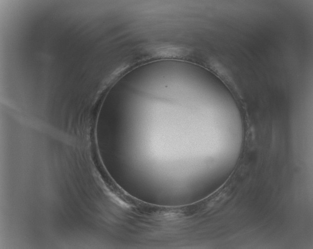 X0000061140106200511241815