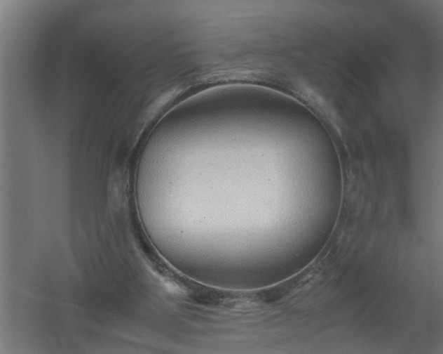 X0000061140107200511241815