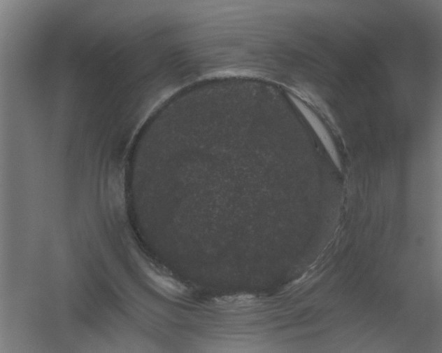 X0000061140108200511241815