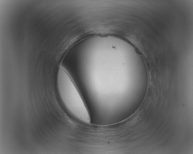 X0000061140109200511241814