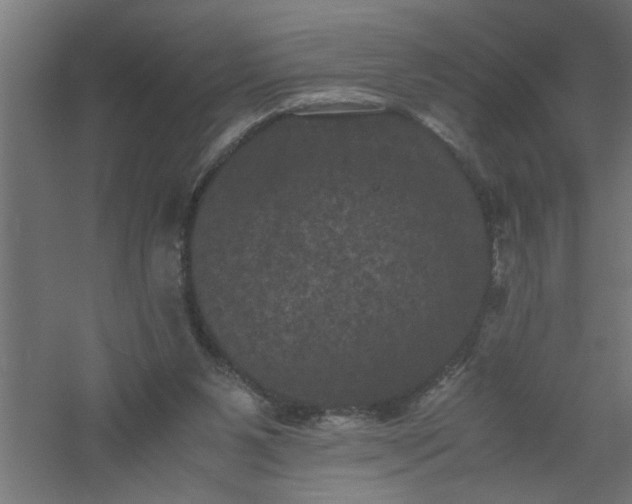 X0000061140111200511241814