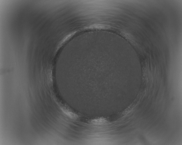 X0000061140112200511241814