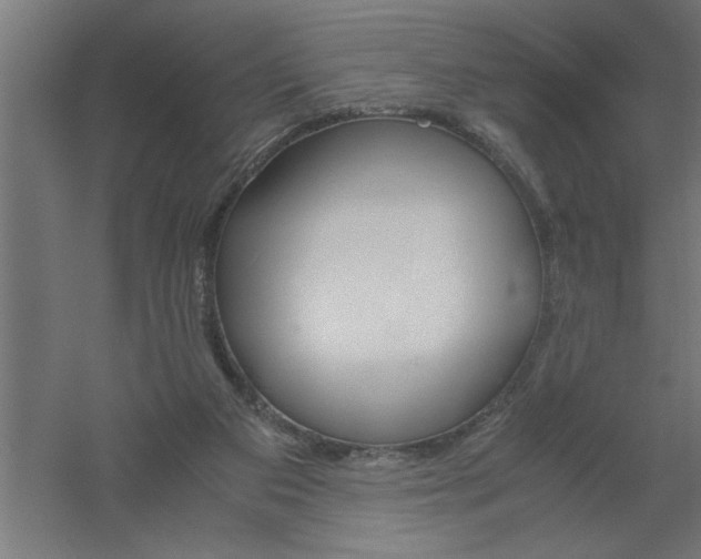 X0000061140113200511241814